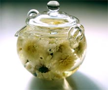 ���������� Chrysanthemum