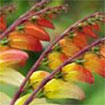 ����- �������� �����