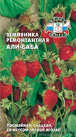 remzemsort2